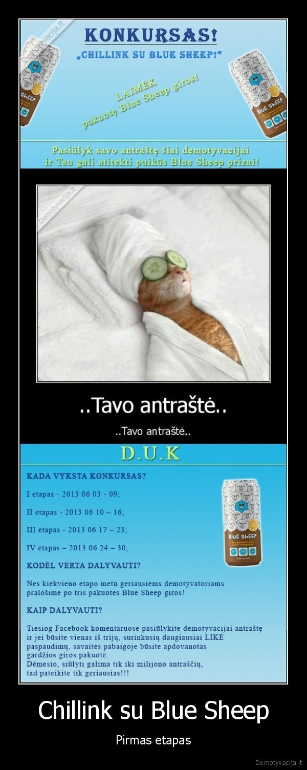 Chillink su Blue Sheep