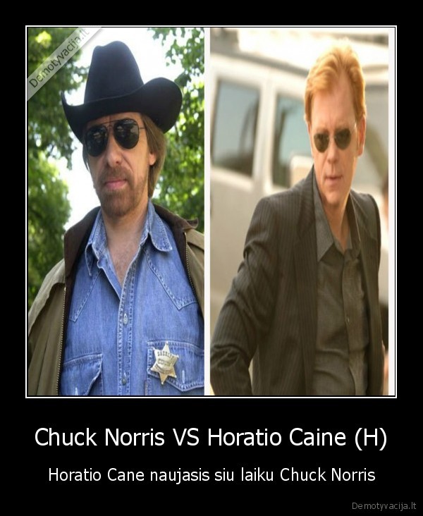 chuck, norris,horatio, caine,csi