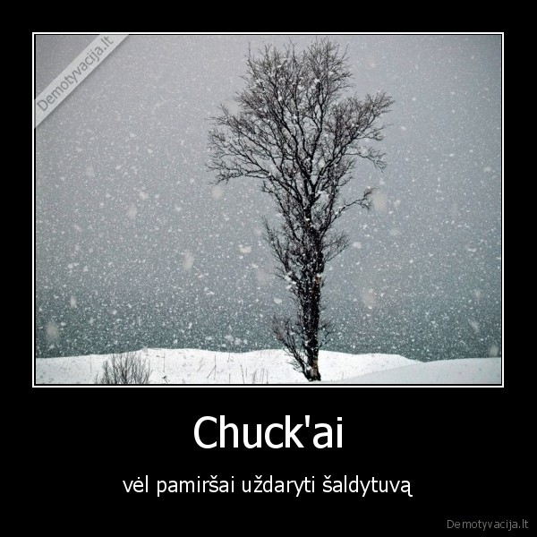 chuck,sniegas,uzkniso
