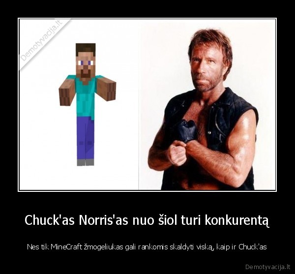 chuck, norris,minecraft