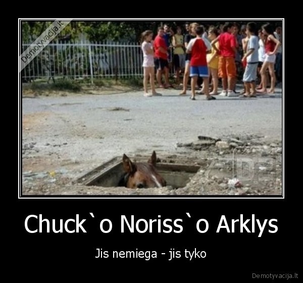 chuck, norris, arklys