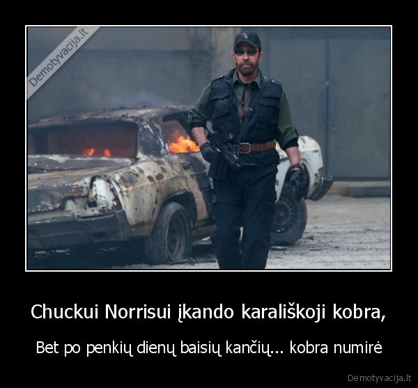 chuck,nenugalimieji,kobra