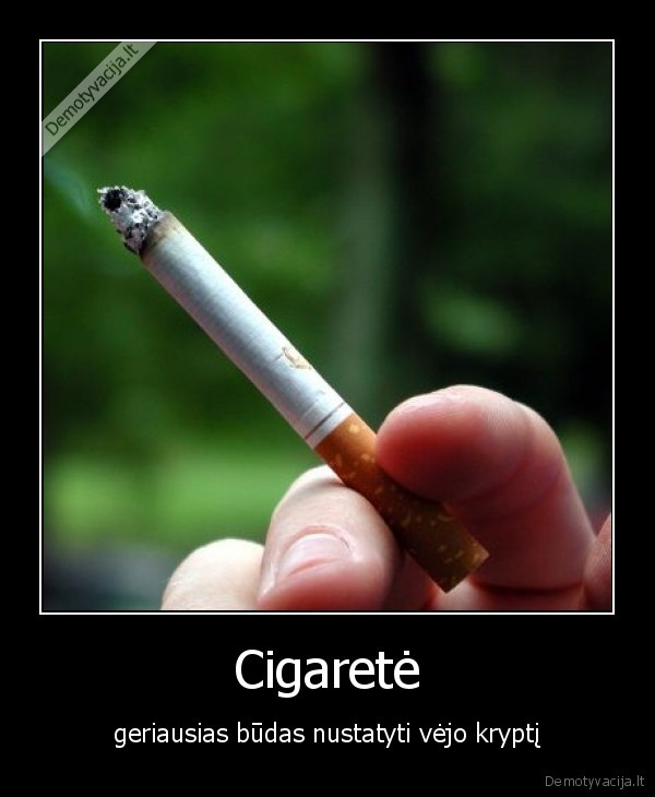 cigarete,rukymas,vejas,cigarte, geriausias, budas