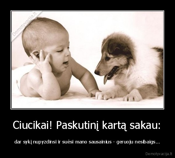 Ciucikai! Paskutinį kartą sakau: