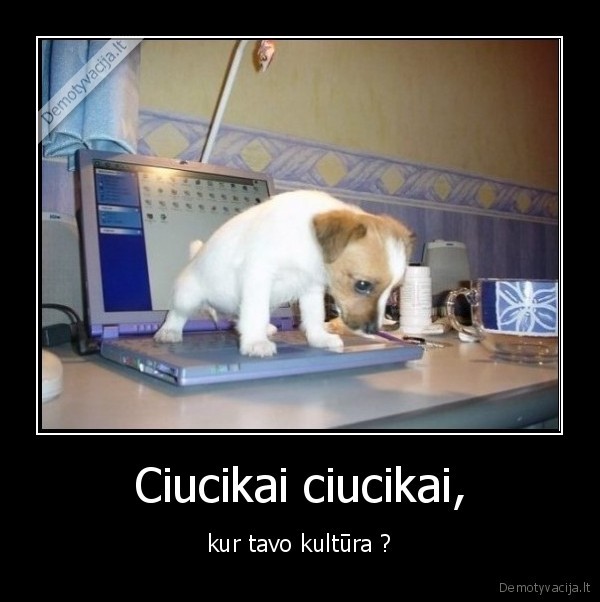 garfildas,suo,kultura