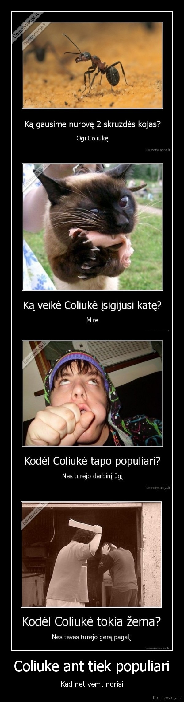 Coliuke ant tiek populiari