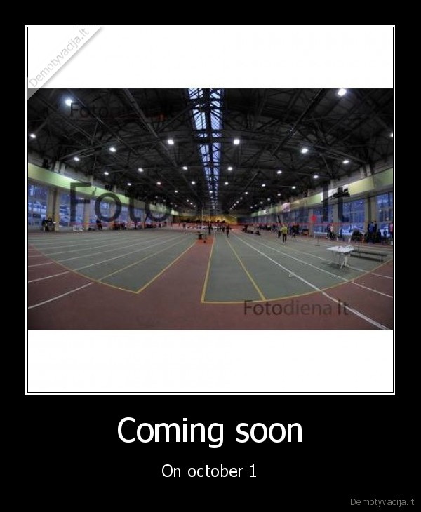 vilniaus, manziezas, ruduo, arsim, kaip, arkliai