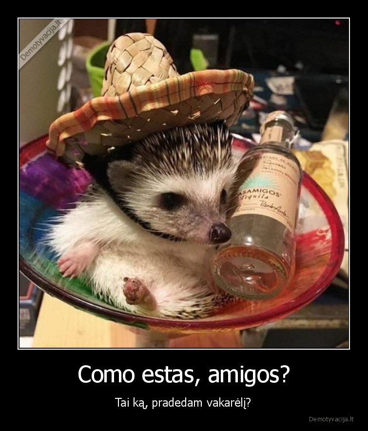 eziukas,tekila,tequila,penktadienis