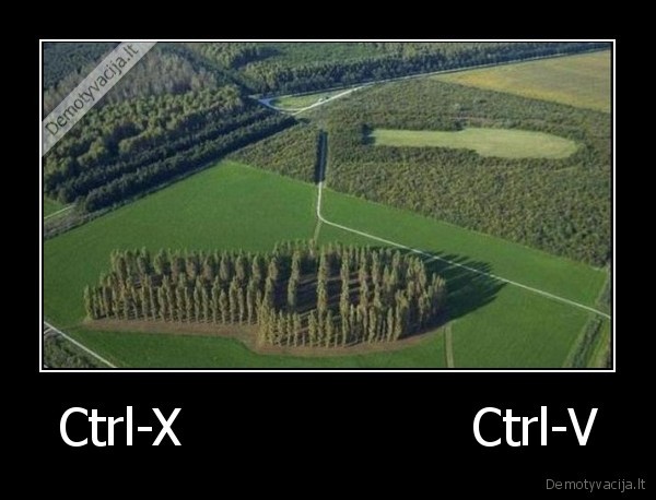 Ctrl-X                  Ctrl-V
