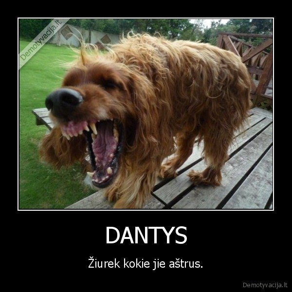 DANTYS