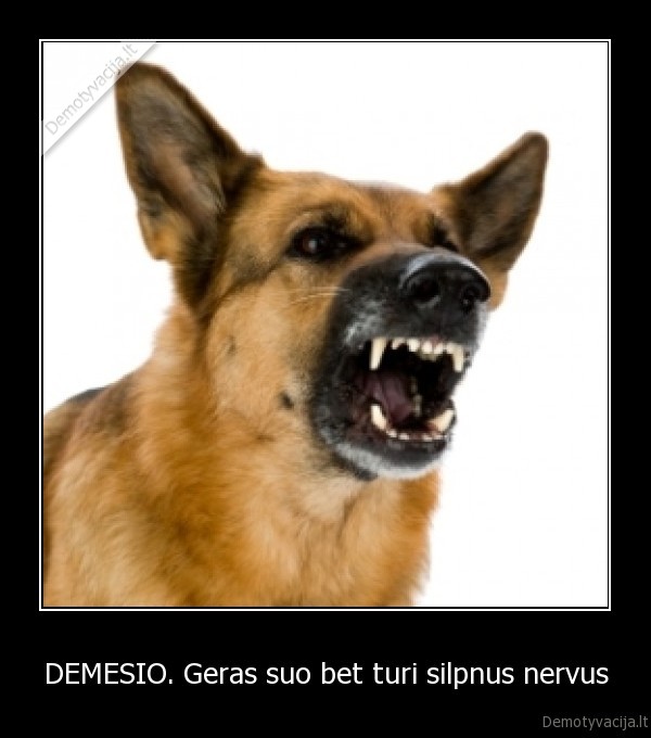 DEMESIO. Geras suo bet turi silpnus nervus