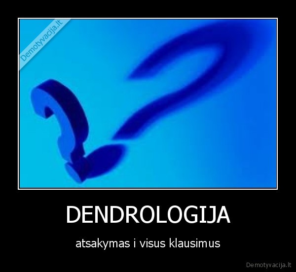 dendrologija,maxima,barsciai