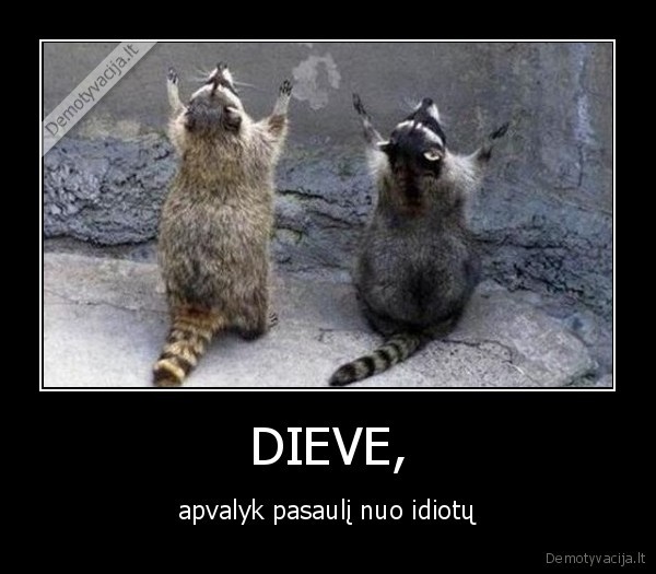 DIEVE,