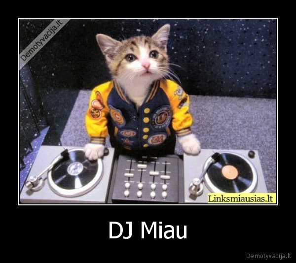 DJ Miau