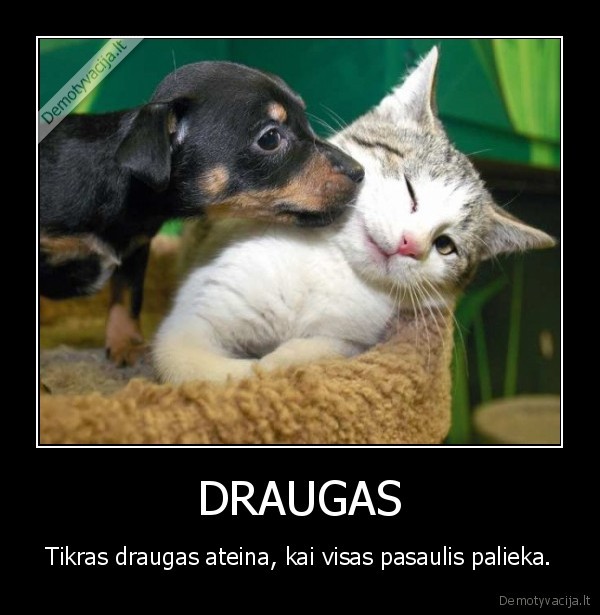 DRAUGAS
