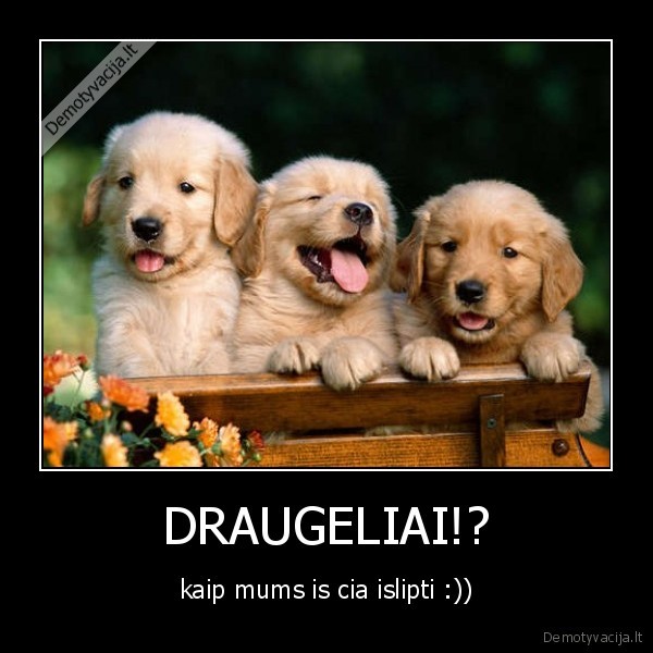 DRAUGELIAI!?