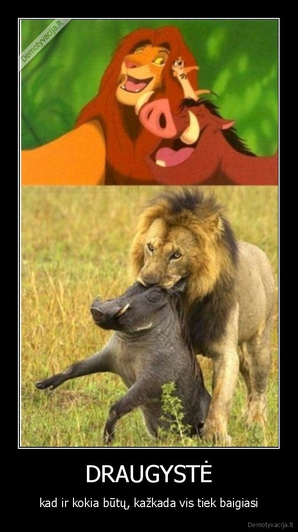 DRAUGYSTĖ