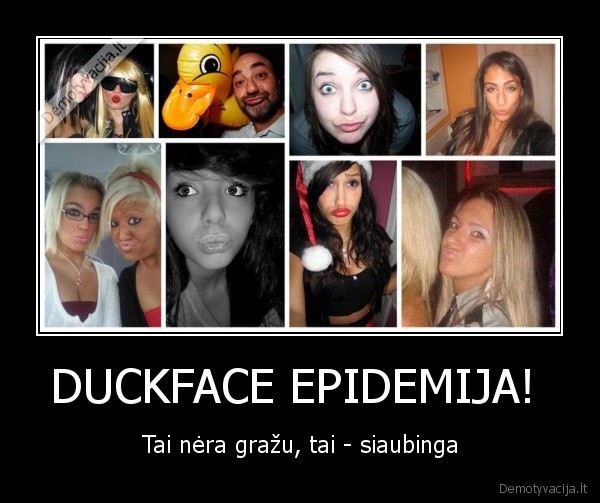 duck,face