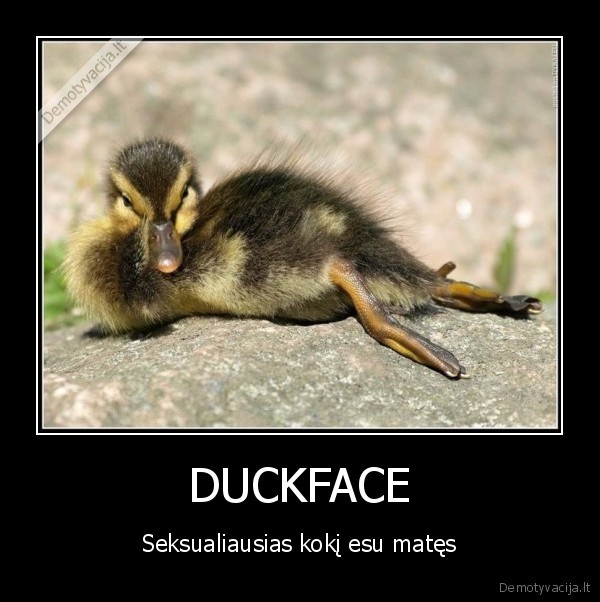 chuck, norris, like, this