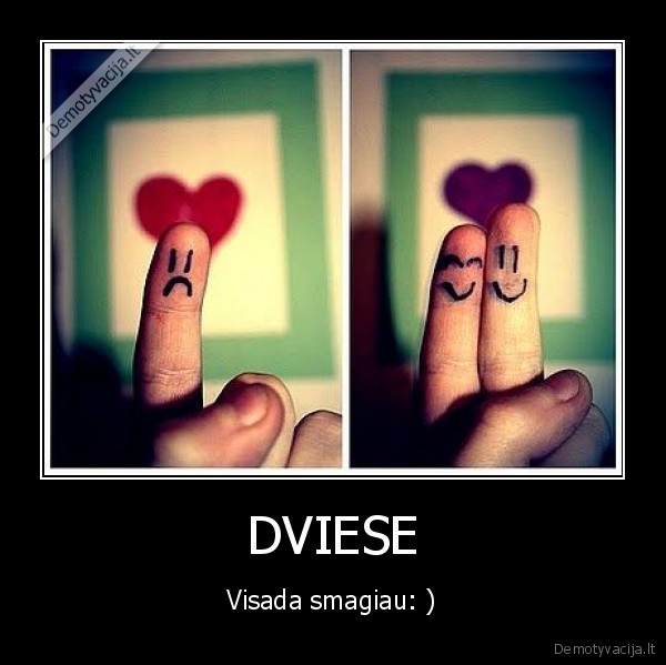 DVIESE