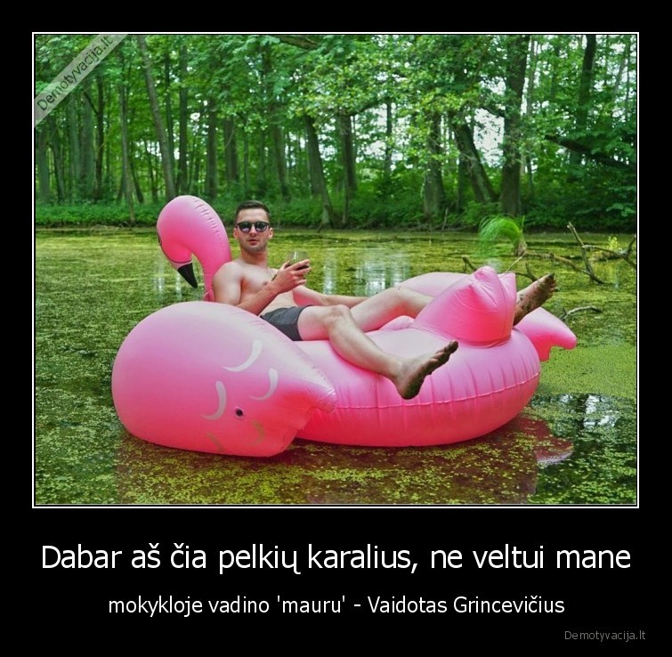 vaidotas, grincevicius,pelkiu, karalius,whydotas,pelke,flamingas,gamta