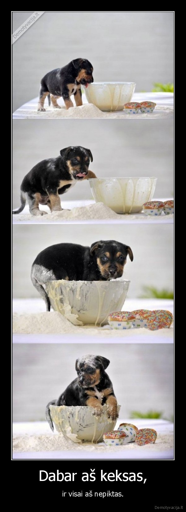 Dabar aš keksas,