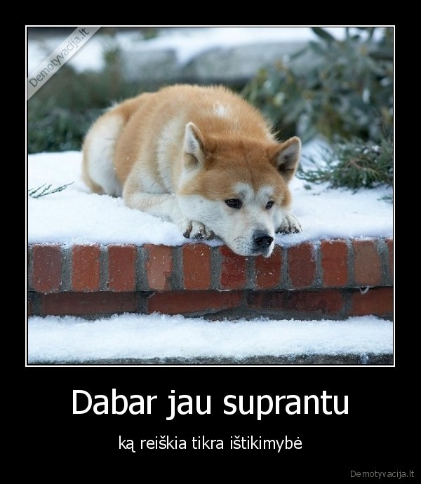 hachiko, story,filmai,hatiko,istikimybe