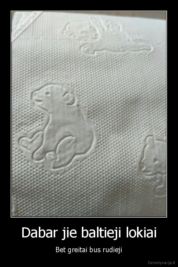 rudieji, lokiai,tualetinis, popierius