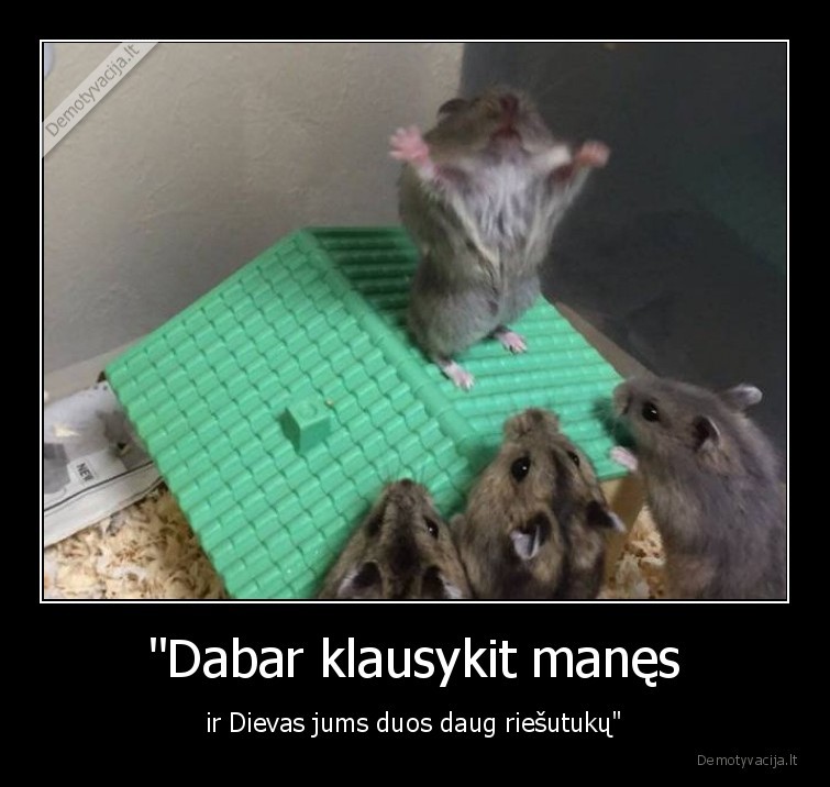 ziurkenas,riesutai,dievas