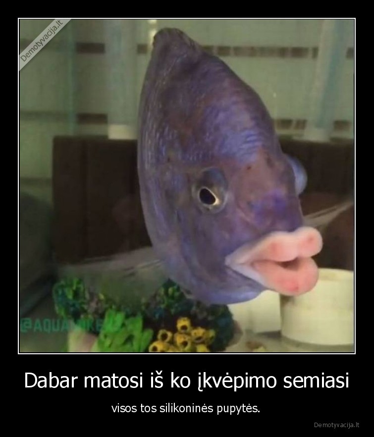 zuvis,lupos,silikonas