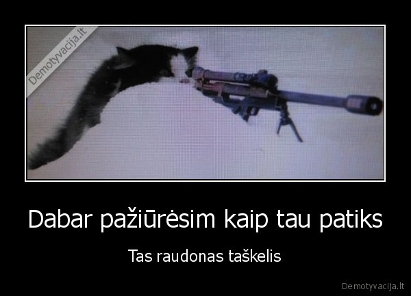 kate, snaiperis,juokinga, kate