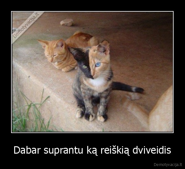 Dabar suprantu ką reiškią dviveidis