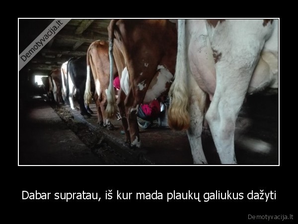 Dabar supratau, iš kur mada plaukų galiukus dažyti