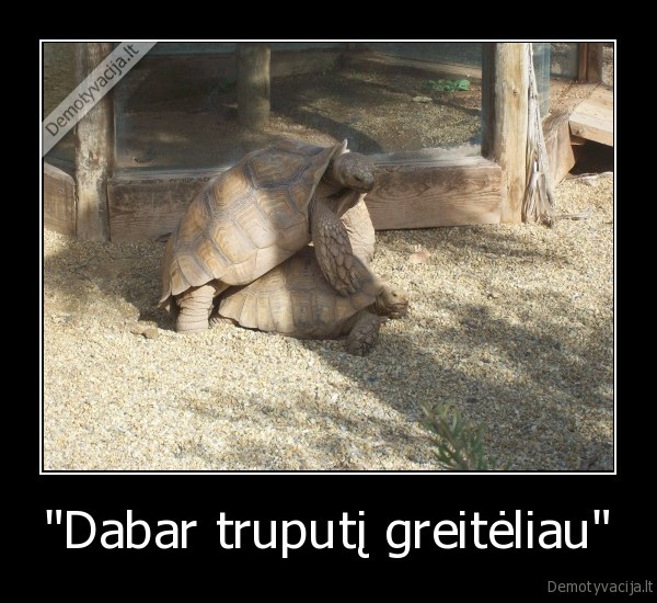 &quot;Dabar truputį greitėliau&quot;