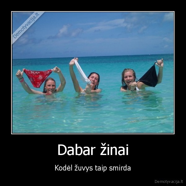 Dabar žinai