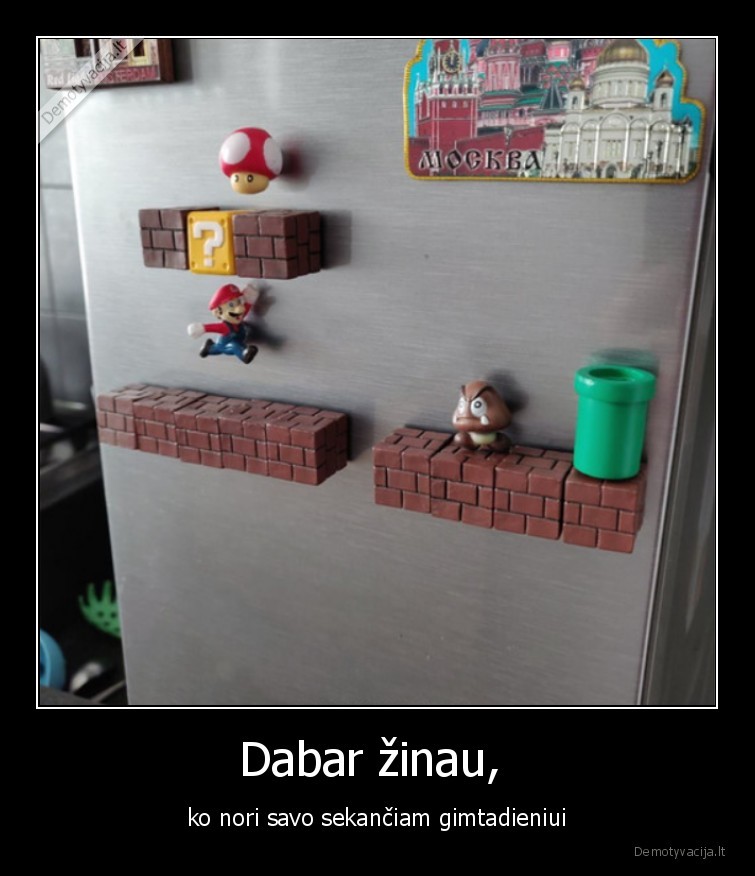 magnetukai,mario,saldytuvas