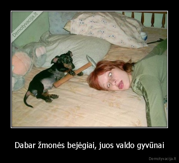 Dabar žmonės bejėgiai, juos valdo gyvūnai