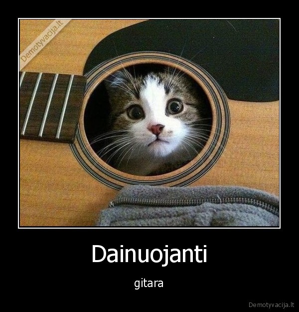 gitara,dainuoti