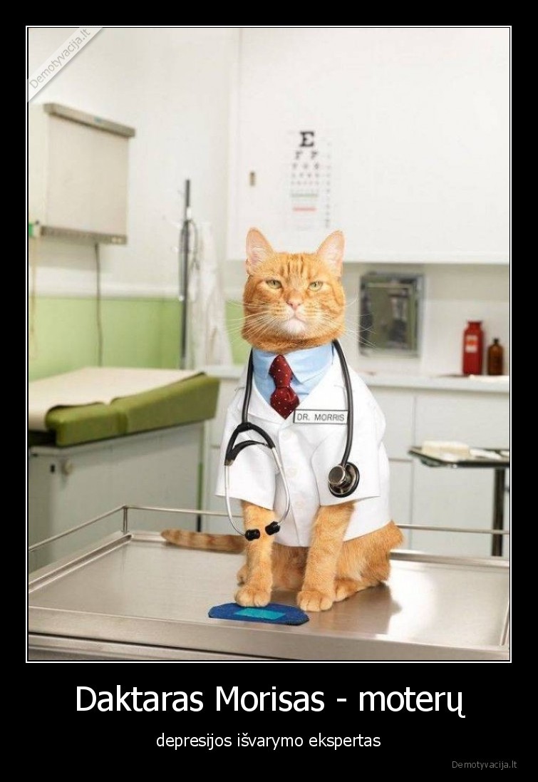 depresija,moterys,katinas,gydytojas,daktaras,morisas,kates,katinai