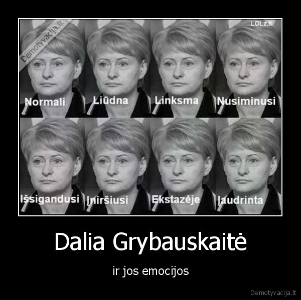 grybauskaite,seimas,vagys