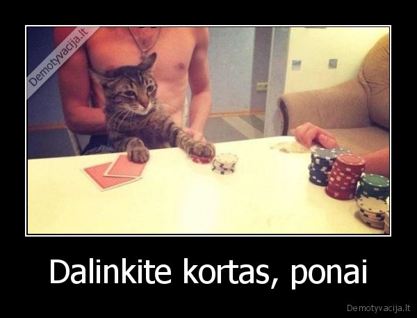 Dalinkite kortas, ponai