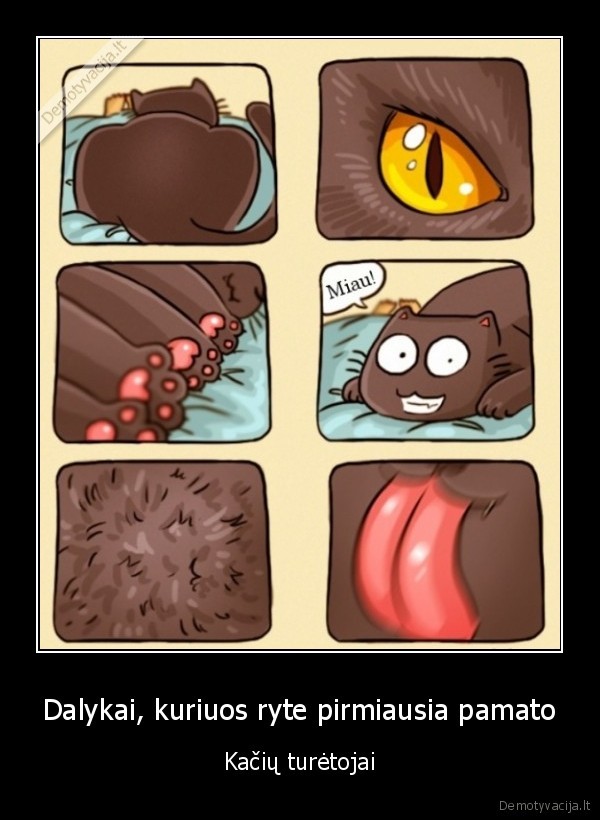 juokingos, kates,kate, is, ryto