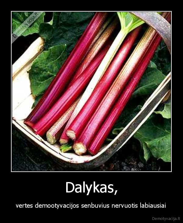 cukriniai, rabarbarai, mania