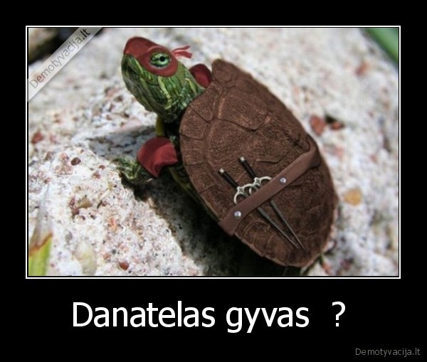 Danatelas gyvas  ? 