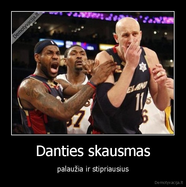 danties, skausmas,ilgauskas