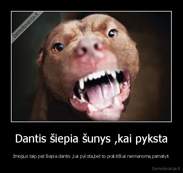 skirtingos, rusys, tas, pats, bruozas