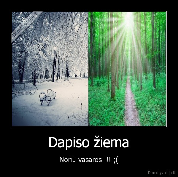 Dapiso žiema