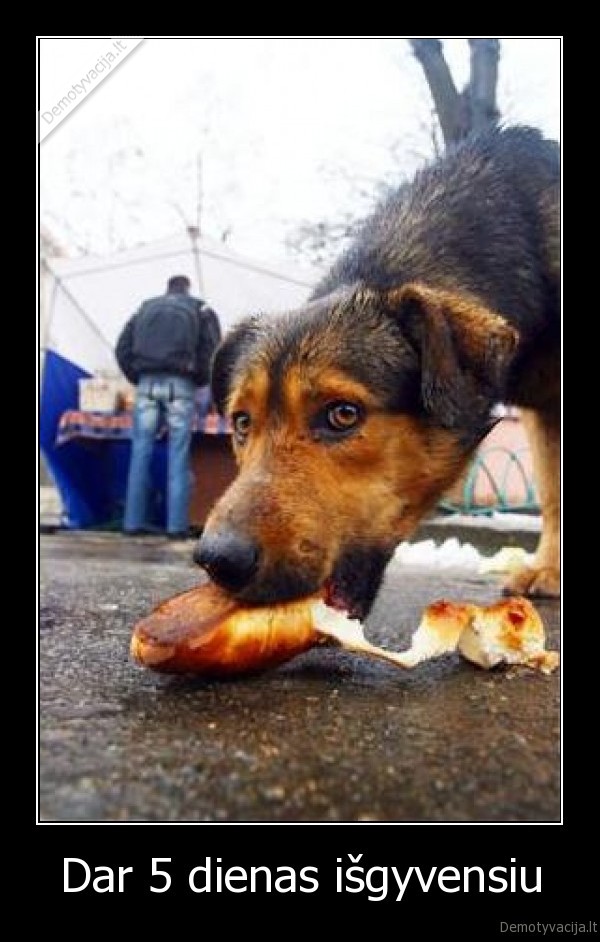 Dar 5 dienas išgyvensiu