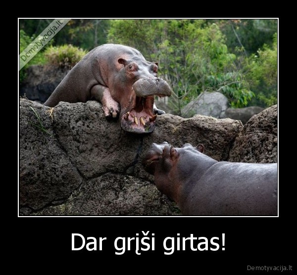 Dar grįši girtas!