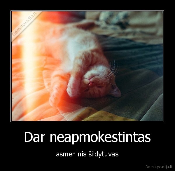 blemba, salta, katinas, katukas, katinelis